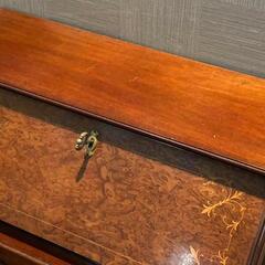 全国発送可能！】めちゃくちゃ可愛い！ハープレッグが美しい