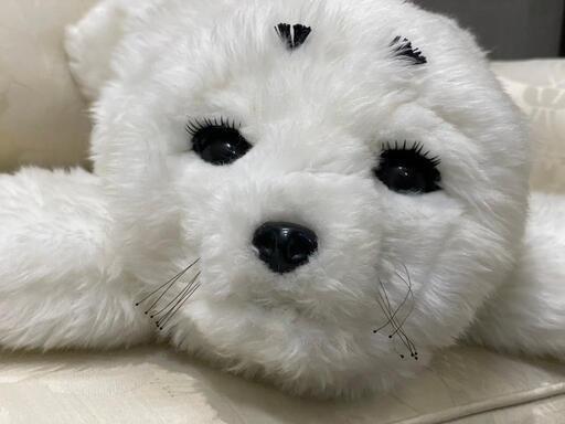 全国発送可能！】めちゃ可愛い！アザラシ型メンタルコミット