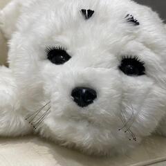 全国発送可能！】めちゃ可愛い！アザラシ型メンタルコミット