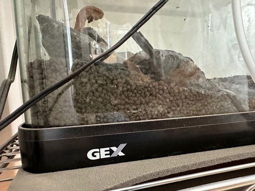 水槽 60cm