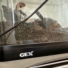 水槽 60cmの画像