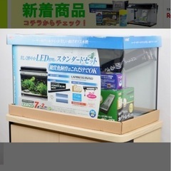 水槽 60cmの画像