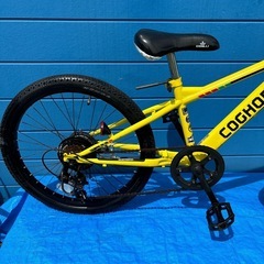 COGHORN  USA 22インチ6変速の画像