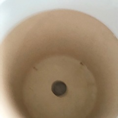 【B】（白・陶器・ノーマル）胡蝶蘭が入っていた鉢の画像