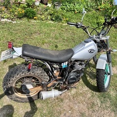 YAMAHA tw200
の画像