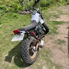YAMAHA tw200
の画像