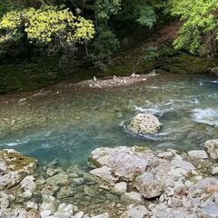 🌿❄️ 避暑地など、涼しい場所を一緒に探しませんか？ 🏔️🌊 - 和歌山市