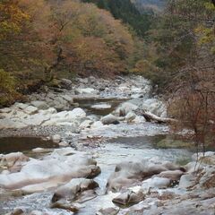 🌿❄️ 避暑地など、涼しい場所を一緒に探しませんか？ 🏔️🌊 - 友達