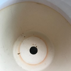 （白・陶器・2本線）胡蝶蘭が入っていた鉢（陶器）の画像