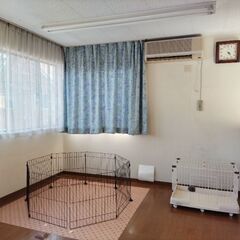 小型犬と猫をお預かりします！駅うらペットホテル - 気仙沼市
