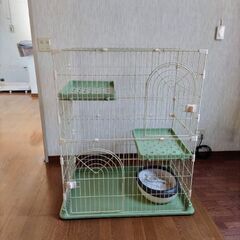 小型犬と猫をお預かりします！駅うらペットホテル - ペット