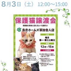 8/3（土）島忠ホームズ草加舎人店保護猫譲渡会 