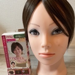 耐熱白髪かくしウィッグ(分け目タイプ)【ST-005】