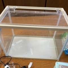 メダカ飼育セットの画像