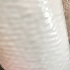 （白・プラスチック・うろこ雲）胡蝶蘭が入っていた鉢（プラスチック）の画像