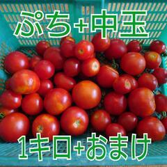 🍅ぷちトマト、中玉トマト 1キロ+おまけ