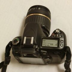 Nikon D80 デジタル一眼レフカメラの画像