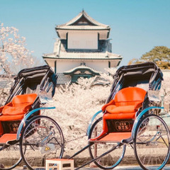 【急募】人力車の俥夫　10代〜30代の男女が活躍！！の画像