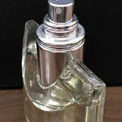 ブルガリ プールオム エクストレーム 香水　100mlの画像