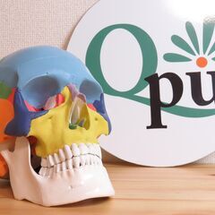 小顔矯正サロンオーナー募集！海南店（仮名）新規オープン【小顔矯正サロンQpu】の画像