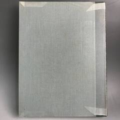 🔷🔶🔷ut26/82 PERNKOPF Atlas of Topographical and Applied Human Anatomy 医学書 洋書 vol1■🔷🔶🔷の画像