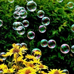 人の心に寄り添うカウンセラーになってみたい方へ✨🌈個別オンライン相談🌈
