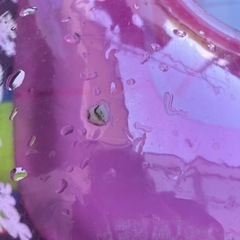 （再受付）キティちゃんプール　　の画像