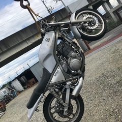 ファイルオーディオ ピアノフォルテ X ファイナルオーディオ ピアノフォルテX