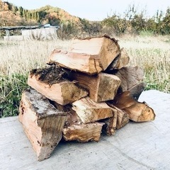 林檎の木の薪を求めます！