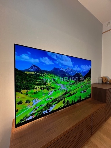LG 65インチ　4Kチューナー内蔵 有機ELテレビ　65E9PJA