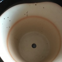 【G】（紺・陶器・波3本）胡蝶蘭が入っていた鉢の画像
