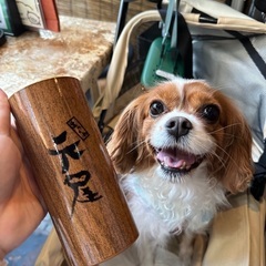 犬友達募集🐶🐾 - 足立区