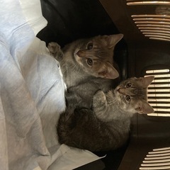 たくさんの応募ありがとうございました
