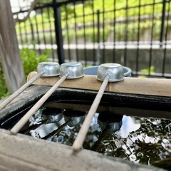 こどもフェスティバルin法華経寺　出店者募集⭐️ − 千葉県