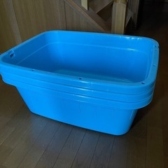 メダカ、シュリンプ飼いたい方の画像