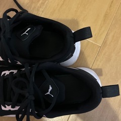 プーマ(22cm)の画像