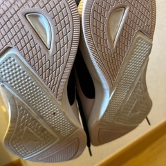 プーマ(22cm)の画像