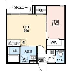 【入居費用16万円】✨審査No.1✨ 🔥JR常磐線　松戸　10分...