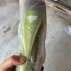 値下げ ステンレスボトルの画像