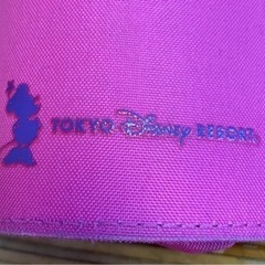 TDR ペンケースの画像