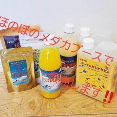 メリメロ夜市、メダカ掬い、スーパーボール掬い、たまやメダカ商品の販売 − 岩手県