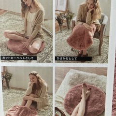 [Francfranc]未使用:未開封電気式エフィカスウォームシートの画像