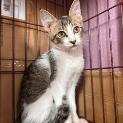 少しシャイだけど、慣れたら甘えん坊♡