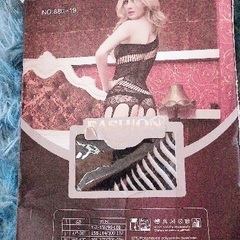 セクシーボディストッキングの画像