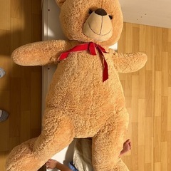 ぬいぐるみ