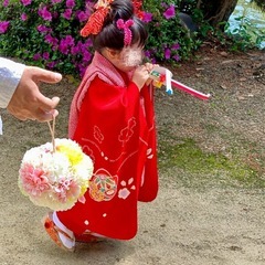 ボールブーケ　の画像