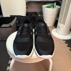 PUMAイグナイト モデル