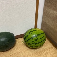 スイカ　１玉