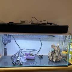 金魚水槽
