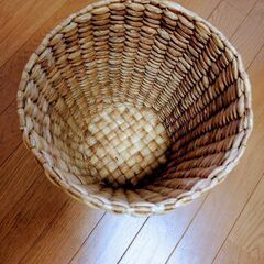 ウォーターヒヤシンス☆ごみ箱☆かごの画像